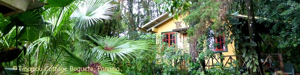 Voorkant Little Tinamou cottage